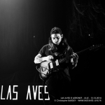 20141213__CBY4370_Las_Aves