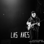 20141213__CBY4372_Las_Aves