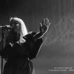 20141213__CBY4474_Las_Aves